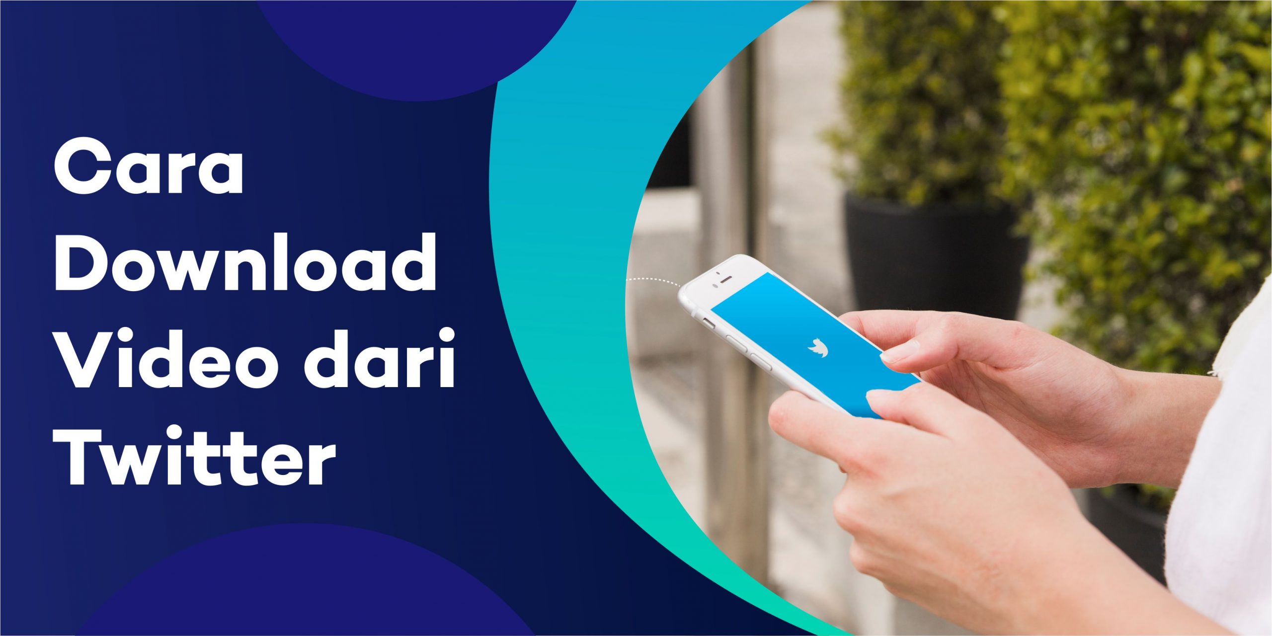 cara download video dari twiter