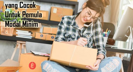Contoh Bisnis Online yang Cocok Untuk Pemula Modal Minim