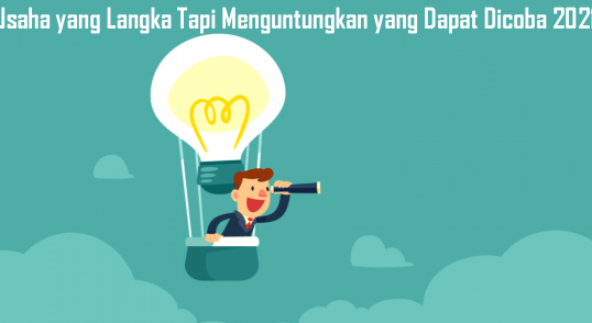 Namun disamping itu adakah peluang bisnis yang lain? Seperti bisnis yang belum tentu banyak yang menggeluti namun bisa mendapatkan keuntungan?