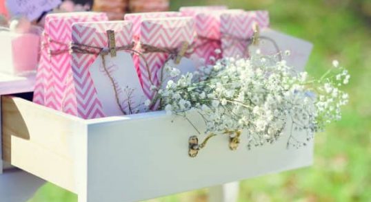 Peluang Usaha yang Belum Banyak Pesaing Prospek Cerah