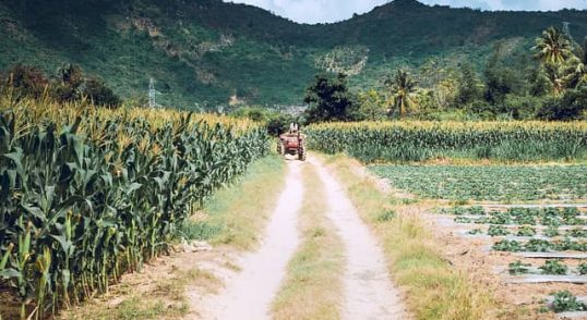 Peluang Usaha di Desa yang Potensial dan Menguntungkan