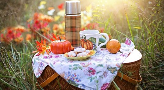 10 Ide Bekal Piknik Simpel dan Praktis Teman Bersantai